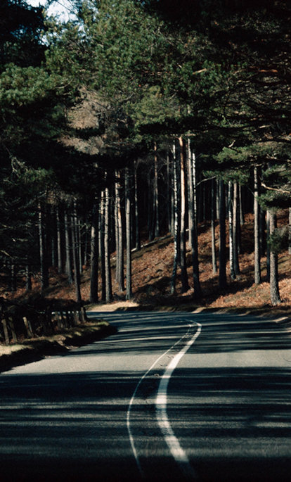 Road Trips